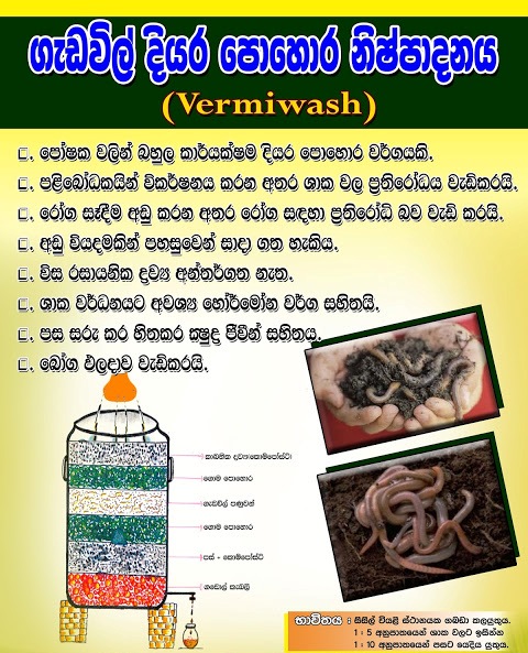 ගැඩවිල් කාබනික දියර පොහොර නිෂ්පාදන ව්‍යාපෘතිය